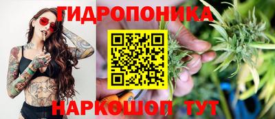 СК Пенза