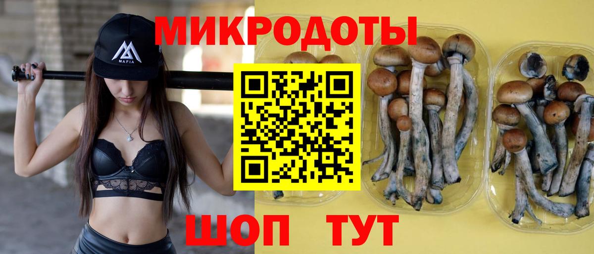 Псилоцибиновые грибы Cubensis  Вход с VPN  Псилоцибиновые грибы MAGIC MUSHROOMS  Семёнов 